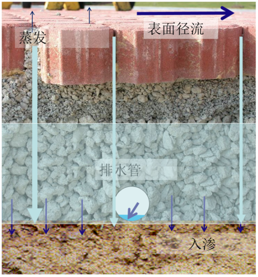 雨水收集系统