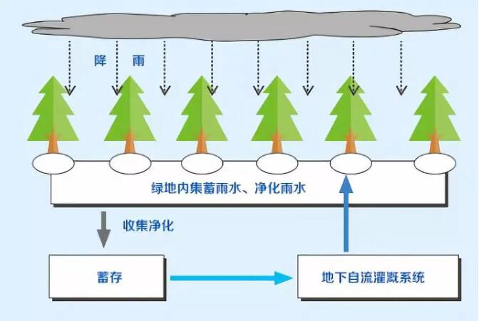 雨水收集系统